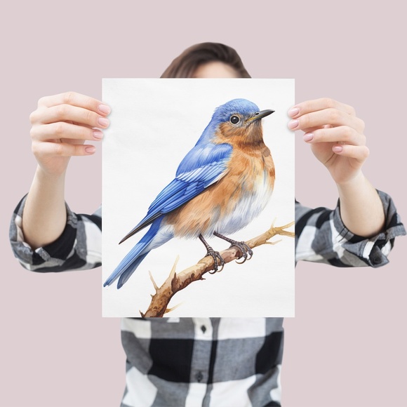 Watercolor Eastern Bluebird Wall Art Illustration Print Poster Unframed - Picture 4 of 5